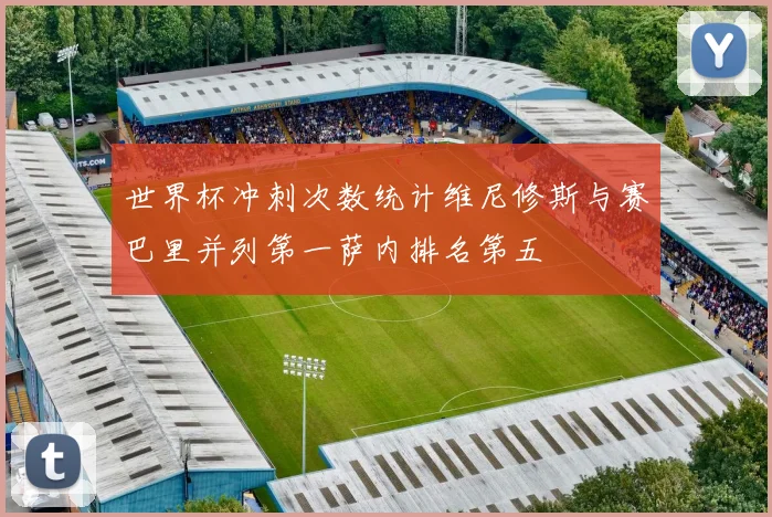 世界杯冲刺次数统计维尼修斯与赛巴里并列第一萨内排名第五